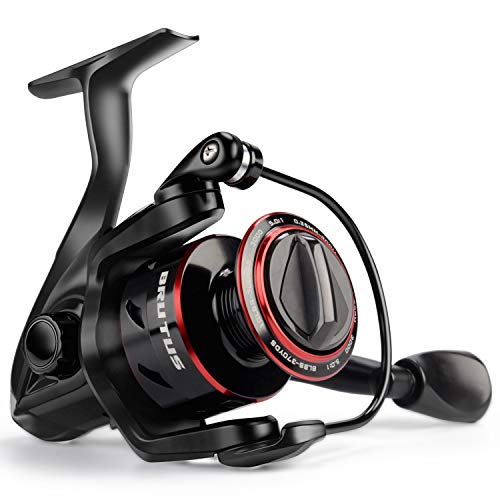 5 Best Cheap Fishing Reels Compared In 2021